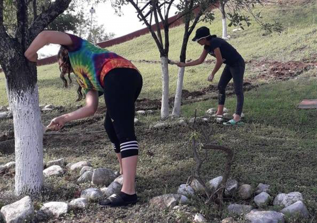 LABOR SOCIAL SECU 2b