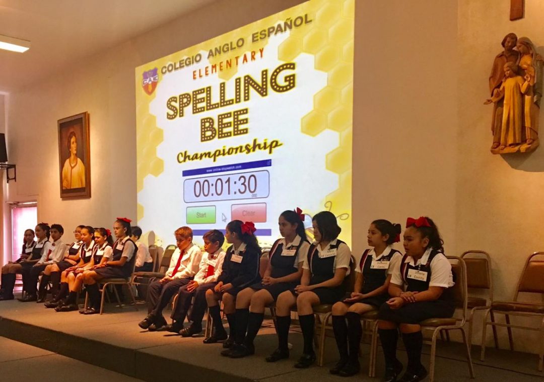 SPEELING BEE PRIMARIA